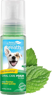 TropiClean Fresh Breath Dental Foam Spray for Dogs & Cats | Quick Breath Freshener and Teeth Cleaning Solution | Made in The USA | 4.5oz.