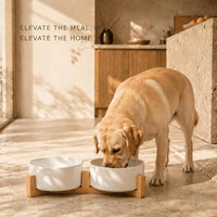 SPUNKYJUNKY Ceramic Dog and Cat Bowl with Wood Stand Non-Slip Matte - 5 cups / White × 2 - image 2