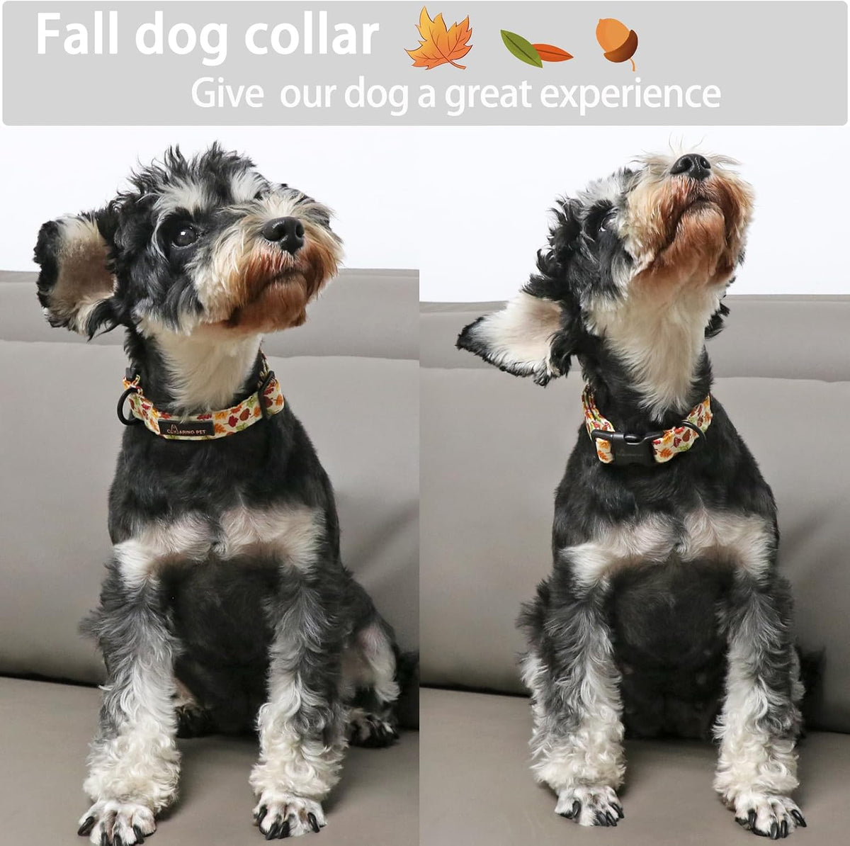 ARING PET Halloween Dog Collar-Cute Fall Dog Collar for Small Dogs - X-Small / Fall Leaf White - image 4