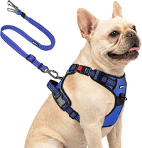 Joytale No Pull Dog Harness & Seat Belt, Easy On 3-Buckle, L - Navy Blue / Small