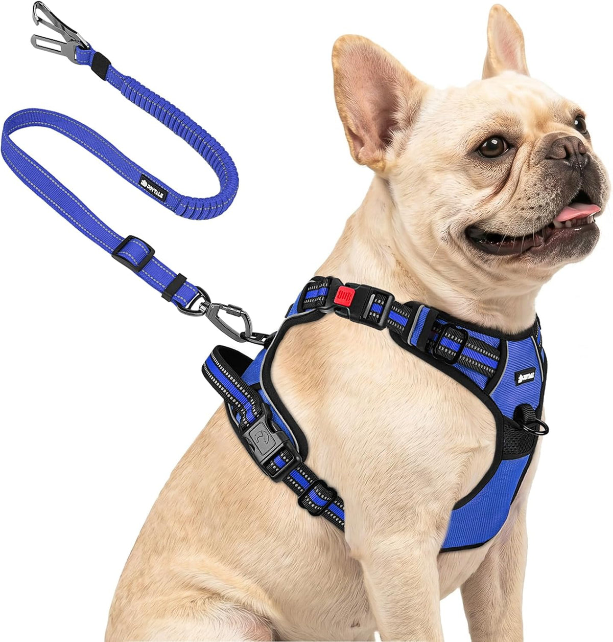 Joytale No Pull Dog Harness & Seat Belt, Easy On 3-Buckle, L - Navy Blue / Small