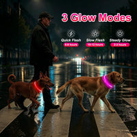 2 Packs Light Up Dog Collar - Pink+Red - image 3