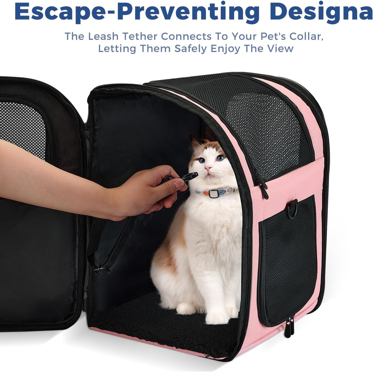 Apollo Walker Cat Backpack Carrier, Support Frame - Pink / Medium-Standard - image 3