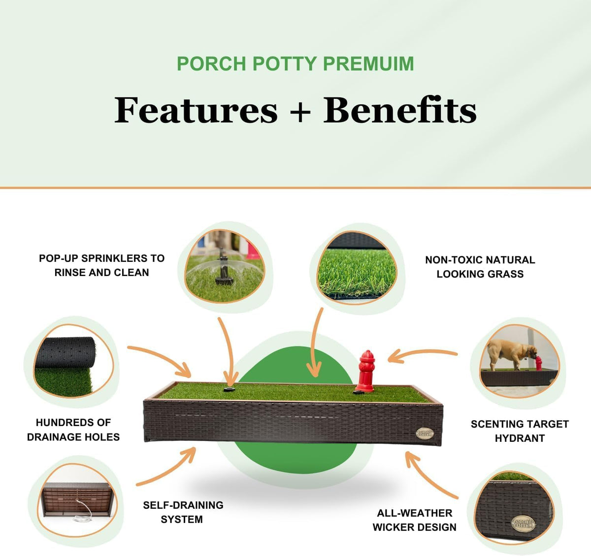Porch Potty Premium Outdoor Dog Potty System with Artificial Grass - Premium - image 2