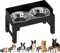 Elevated Dog Bowls for Medium and Large Dogs - 2 Stainless Steel Bowls / Black