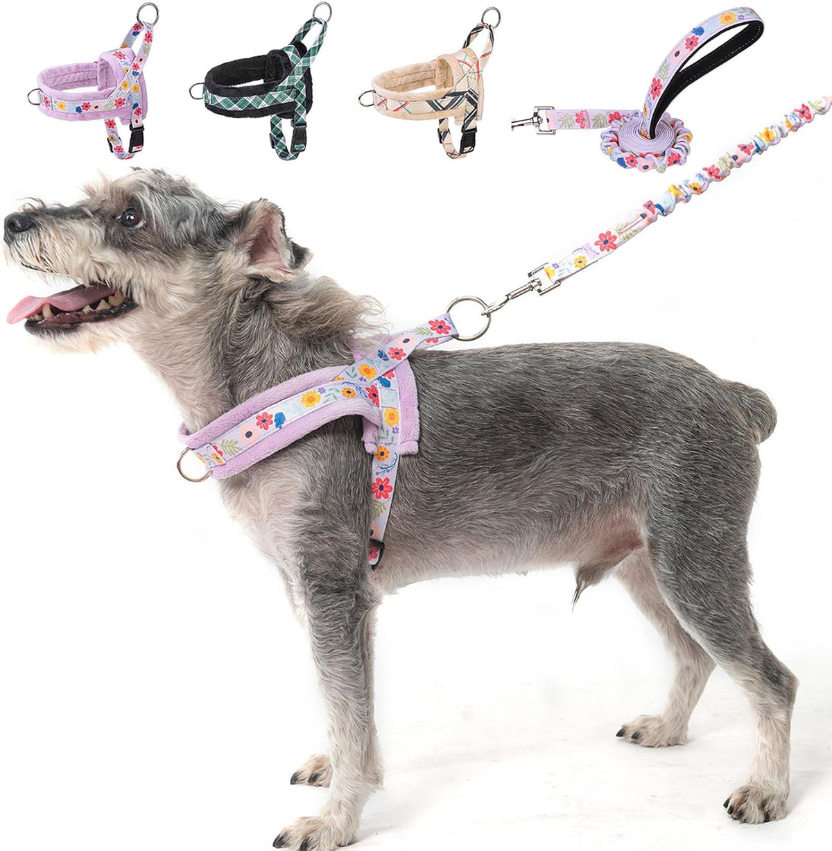 Small Dog Harness and Leash Set, No Pull Step in Puppy Vest – Essentials for Dogs - Purple_Velvet / M: Chest 21"-26.7"