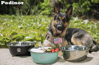 Large Dog Water Bowl 2 Pack, Aqua - Silver - 2 Pack / 1.3 Gallons - XL (100lb + breed) - image 3