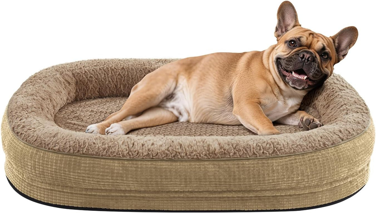 JOEJOY XL Orthopedic Dog Bed for Large Dogs, 360° Oval Bolster - Light Brown / 28"l X 23"w X 6.5"th