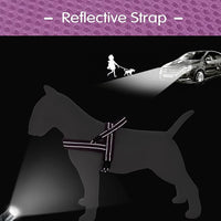 Didog No Pull Dog Harness with Soft Mesh Padded,Reflective & Quick Fit Light Weight Dog Strap Vest Harness,Easy for Walking Training (M:Chest 21-26", Purple)
