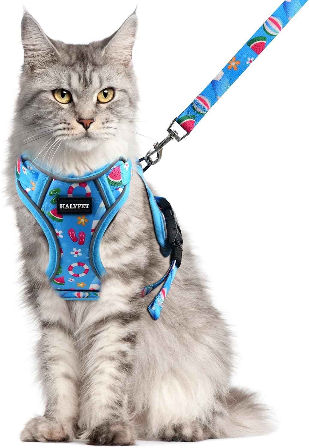 Cat Harness and Leash Set, Escape Proof Kitten Harness, Black - H604 Pro Ocean Blue / Medium (13-18lb)