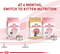 Royal Canin Feline Health Nutrition Mother & Babycat Ultra Soft Mousse in Sauce Canned Cat Food, 3 oz can (12-count)