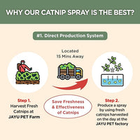 JAYU PET Active Catnip Spray - High Potency Transparent Liquid Spray made of Fresh Organic Catnip for Indoor Cats and Kittens, Relieves Stress, Calming, Revives Toys (1fl oz) (Catnip Spray, 1fl oz)
