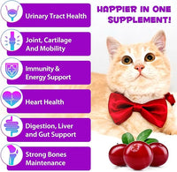 Cat Vitamins, 15 in 1 Cat Multivitamin Liquid Drops, Cats Vitamins and Supplements with Glucosamine and Probiotics, Vitamin for Cats Skin Coat, Immunity, Gut Digestion, Joint, Heart, 60ML