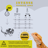 Reptile Heat Lamp, UVA Daylight Basking Light for Bearded Dragon - 2-pack Reptile Heat Bulb / 75W - image 3