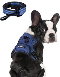 No Pull Dog Harness for Medium Dogs - Denim Blue / M