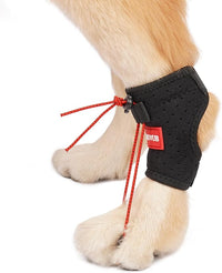 Dog Canine Knuckling Brace Front Paw Rear Leg Dog Foot Brace Wrap for Toe Dragging Cause by Sciatic Nerve Insufficiency, Myelopathy, Herniated Disc (Medium,Pair Pack)