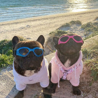 Clear Dog Goggles for Small Dogs - Fold Blue / Medium - image 2