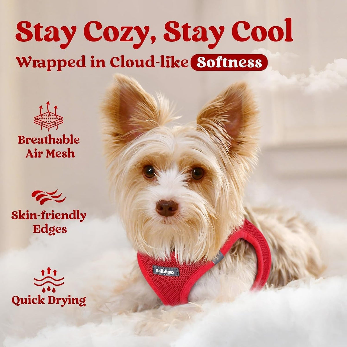rabbitgoo Step-in Small Dog Harness - Red / M(chest:16.0"-18.5") - image 3