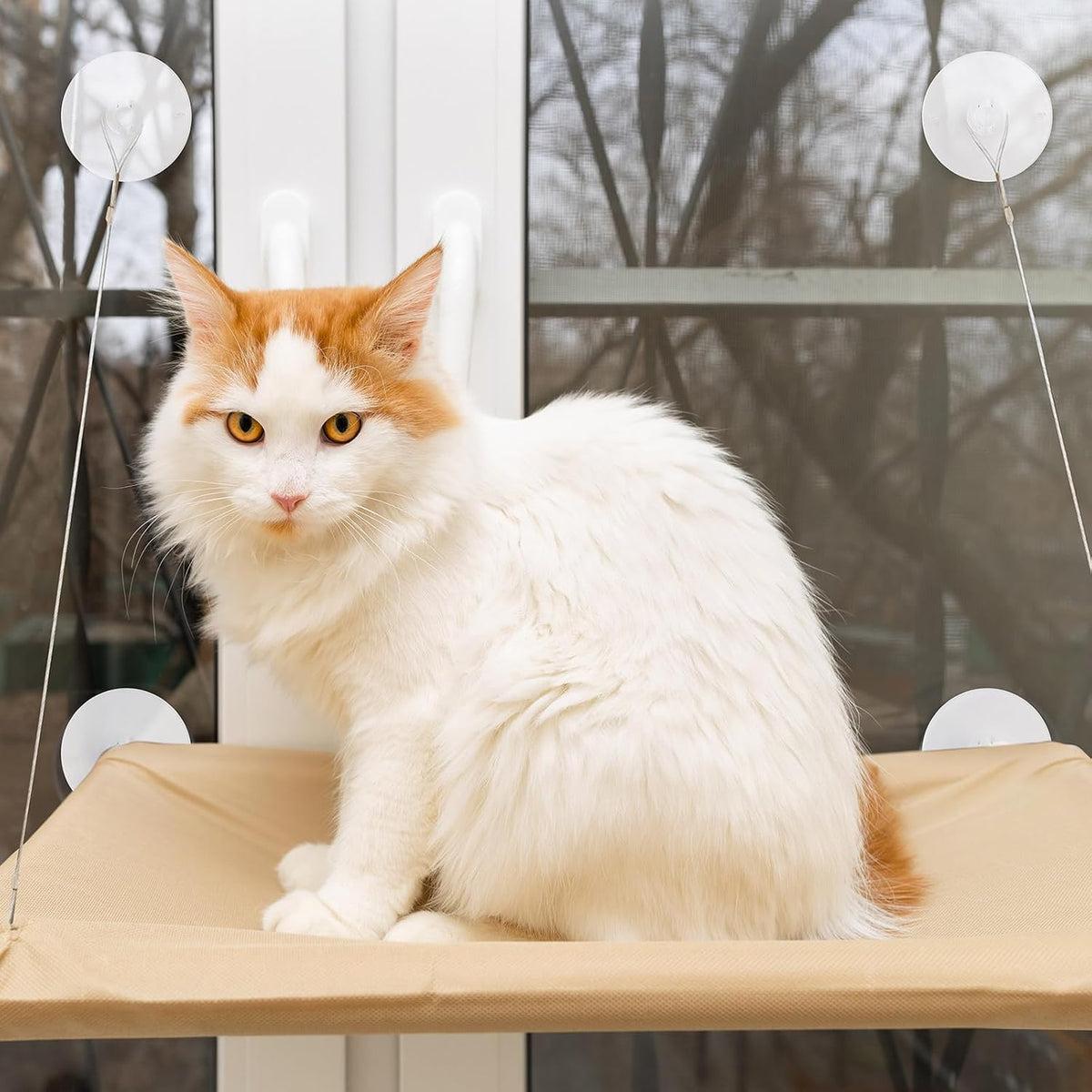 4 Pieces Cat Window Perch Suction Cup Powerful Window Bed Seat - 8 - image 2