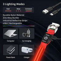 LED Dog Collar with Metal Buckle - USB Rechargeable Glow Collar for Dogs, Waterproof Light Up Dog Collar w/Reflective Strips - Adjustable Night Safety Collars by PetIsay(Red,Medium)