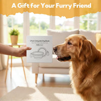 Collapsible Dog Bowl for Travel - Large / Grey+Black - image 4