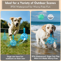 Interactive Dog Toys Dog Soccer Ball to Keep Them Busy – Essentials for Dogs - Blue - image 4