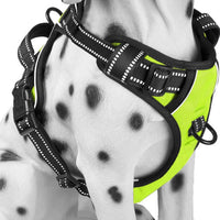 PoyPet No Pull Dog Harness Medium - Medium / Green