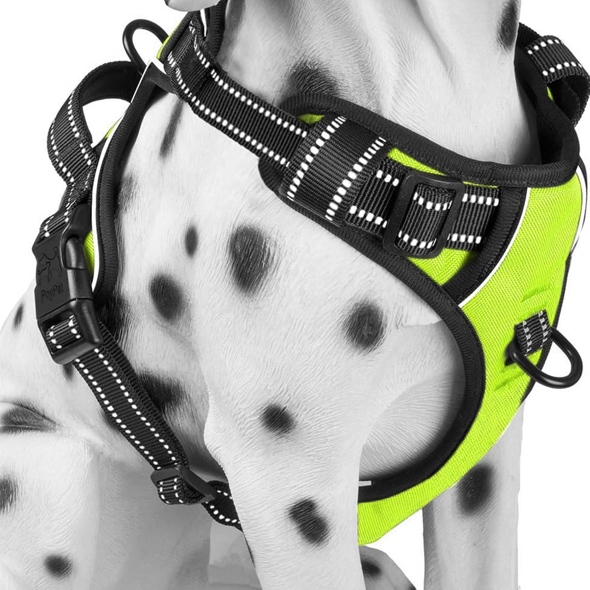 PoyPet No Pull Dog Harness Medium - Medium / Green