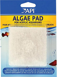API Algae Scraper for Glass Aquariums 1-Count Container – Essentials for Fish - Pad (Pack of 1) / No Color