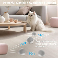 Chewie Viral Rolling Ball, Interactive Cat Toys Ball for Indoor, Cats Interactive Self Rolling Ball Dog Ball Automatic Cat Toy 360° Smart Automatic Rolling Pet Ball (Grey)