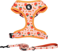 Dog Harness and Leash Set, Adjustable Dog Harness, Dog Leash - Peach / XS(Chest 9.9 - 13.5", Neck 7.8 - 10.2")