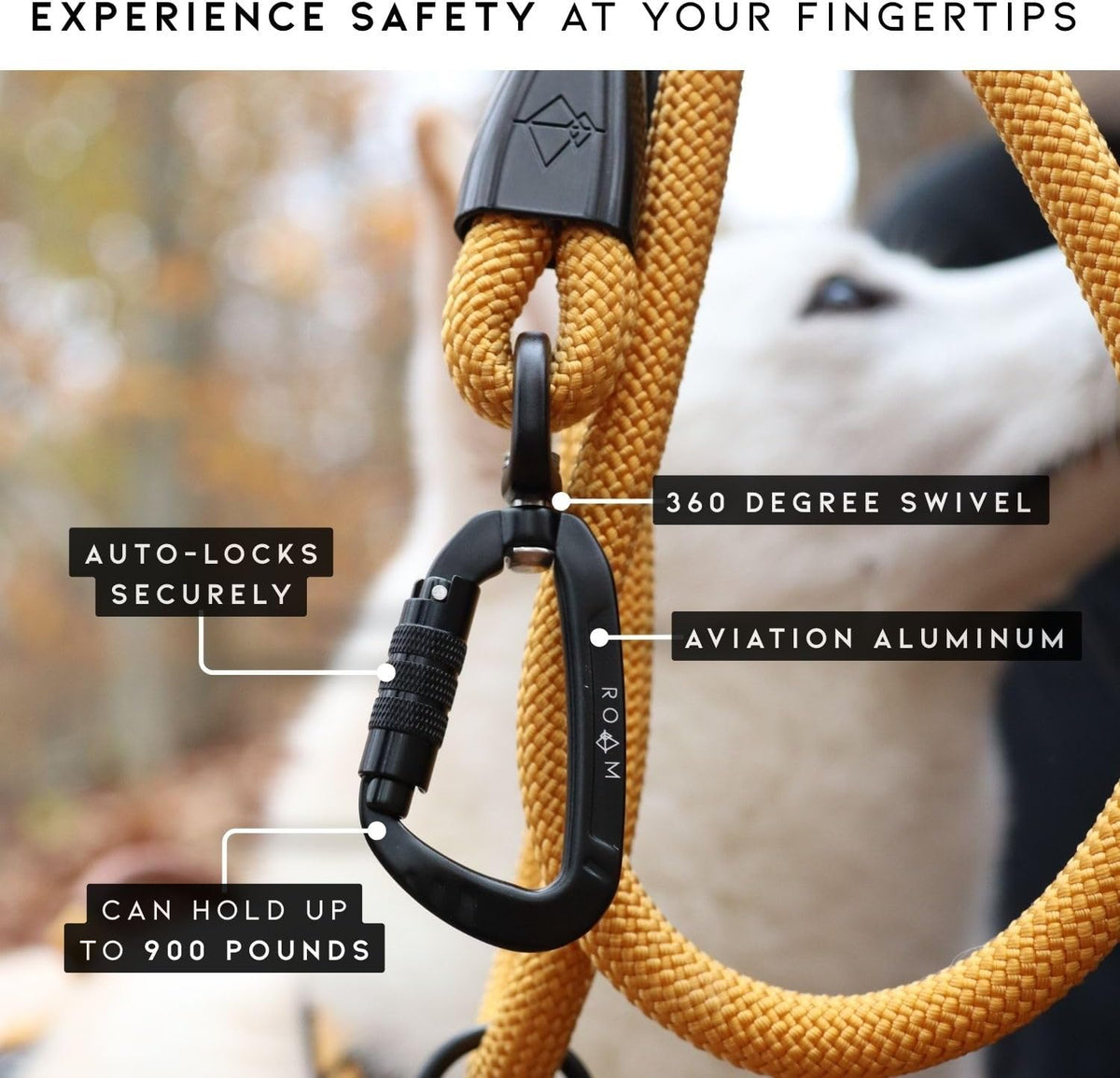 MADE TO ROAM Premium Explorer Leash - Michigan Autumn / 4 Feet - image 3