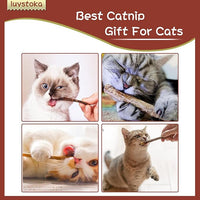 Silvervine Sticks for Cats, 30PCS Kitten Toys Catnip Toys Matatabi Silvervine Sticks Kitty Chew Toys Wooden Stick Kitten Teething Toys Molar Suitable for Cats of All Ages