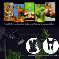 Turtle Heat Lamp + 2 Heating Bulbs - image 3