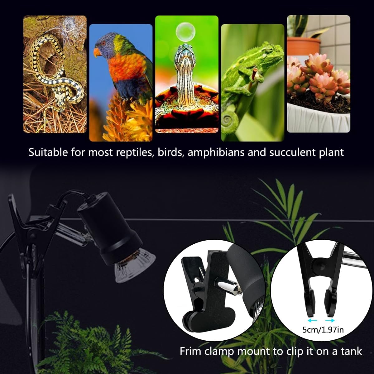 Turtle Heat Lamp + 2 Heating Bulbs - image 3