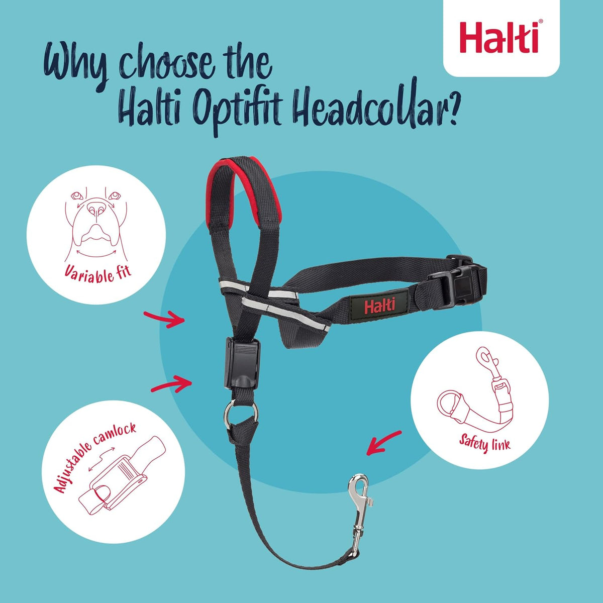 Halti Optifit Headcollar for Dogs, Size L - image 3