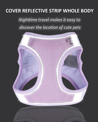 Solmoony Dog Harness, No Pull, Mesh for Small Medium Dogs - Purple / XS - image 4