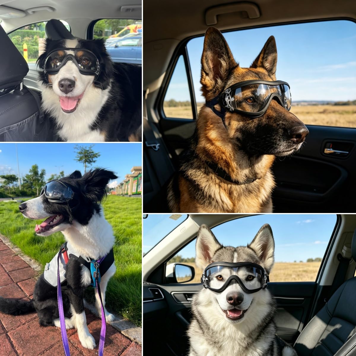 Enjoying Clear Dog Goggles Medium to Large Breed - Ultra Clear / Large Breeds - image 2