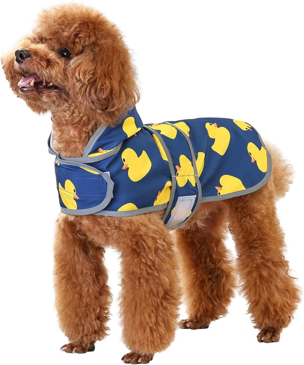 Dog Raincoat, Waterproof Dog Rain Jacket with Hood - Navy Blue Duck / X-Small - image 2