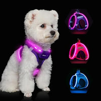 Light Up Dog Harness,Rechargeable LED Dog Harness for Small Medium Large Dogs,Reflective Lighted Safety Vest for Night Walking & Camping,Lightweight & Adjustable,Purple,S