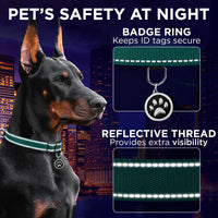 Reflective Neoprene Padded Dog Collar with Quick Release Buckle – Essentials for Dogs - Dark Emerald Green / XX-Small - image 4