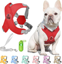 Patas Lague Dog Harness Medium Sized Dog Pet Vest with Leash Set Pink - Red / XS (Neck 16-19.1'' Chest 18.8-21.5'')