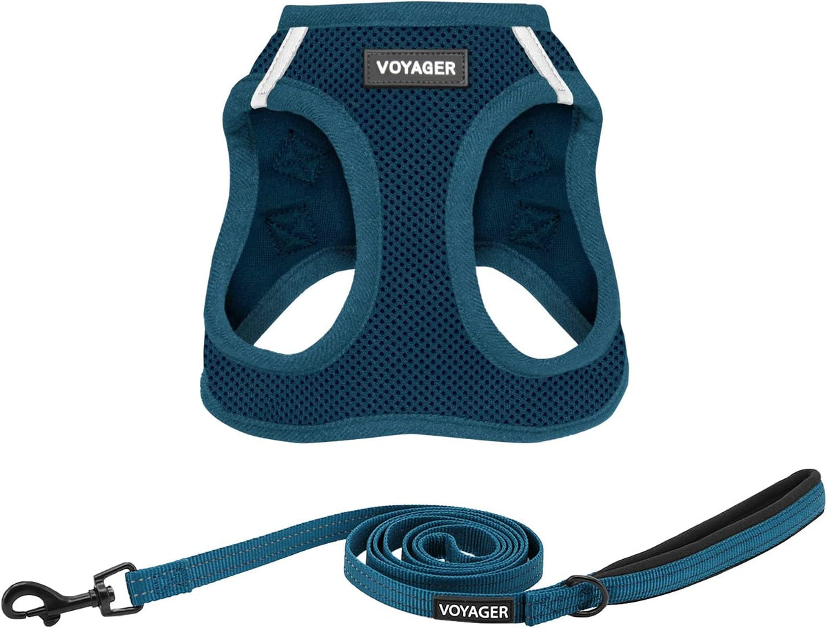 Best Pet Supplies Voyager Step-in Air All Weather Mesh Harness - Harness Leash Set (Blue) / M (Chest: 16 - 18")