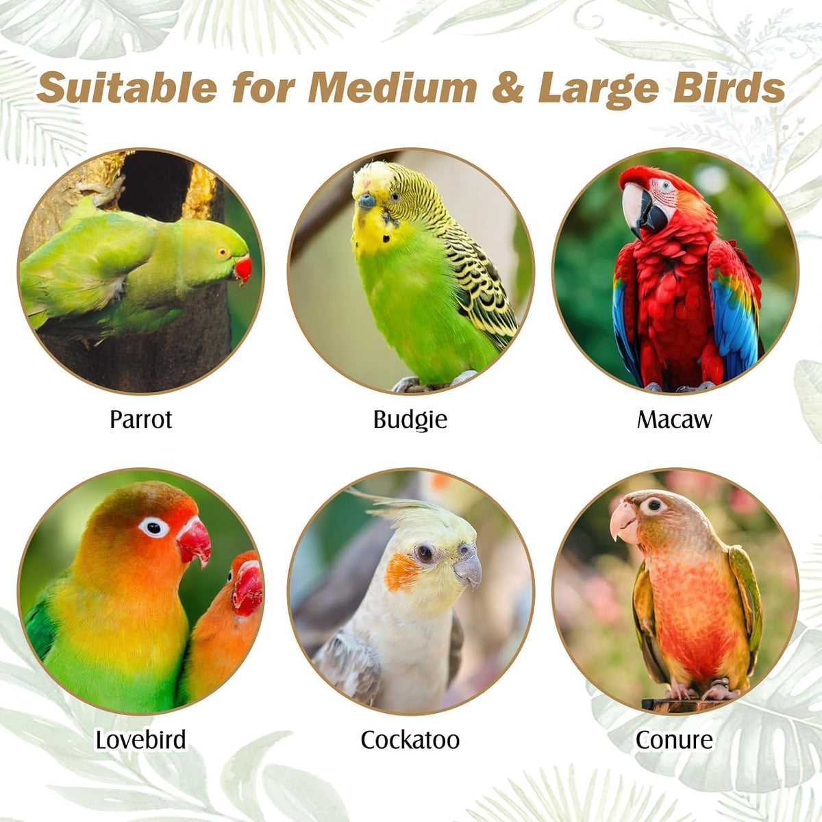 PINVNBY 3 Sizes Natural Parrot Perch Grape Wood Bird Stand Pole - 11.8in - image 3