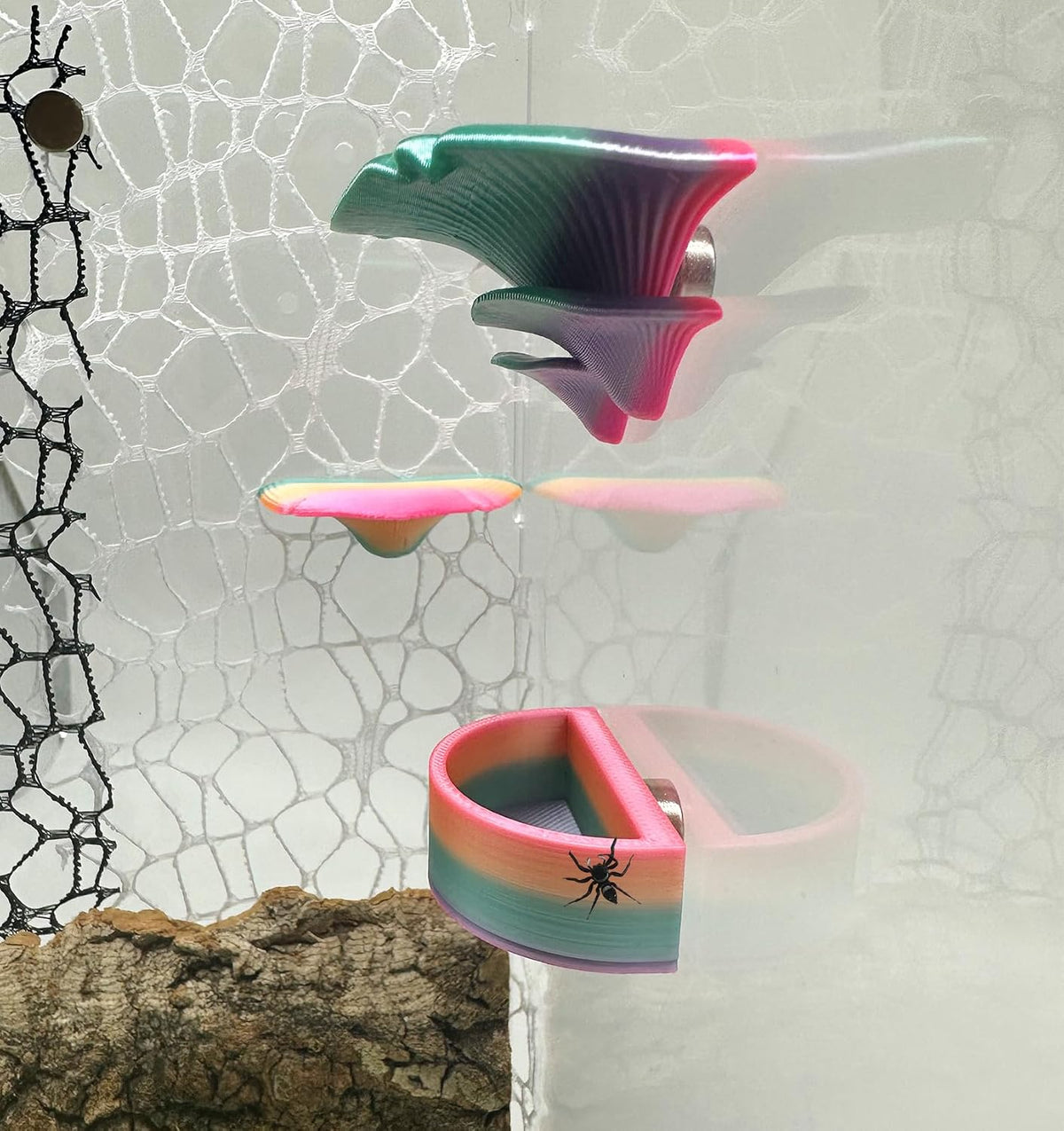 2 Pack Jumping Spider Accessories Mushroom Ledges & 1 Pack Water Bowl - colorful - image 3