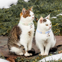 ARING PET 2 Pack Cat Collar-Cute Cotton Cat Collar Breakaway - Blue & Green Striped - image 4