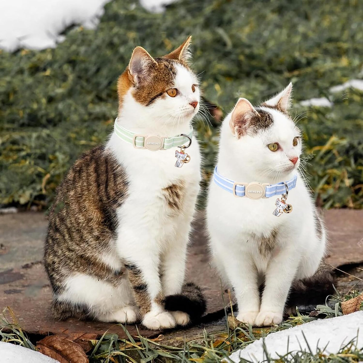 ARING PET 2 Pack Cat Collar-Cute Cotton Cat Collar Breakaway - Blue & Green Striped - image 4