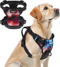 PUPTECK No Pull Halloween Dog Harness for Large - Aurora / Large / Harness Only