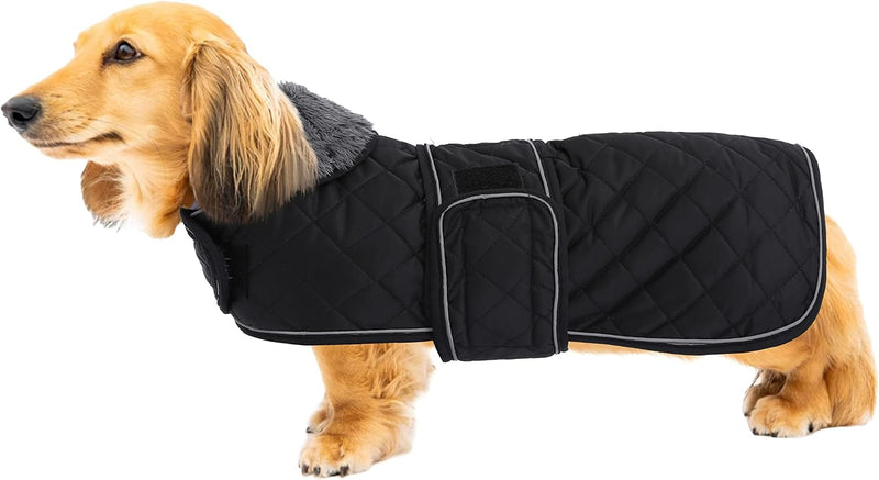Warm Thermal Quilted Dachshund Coat - X-Small / Black