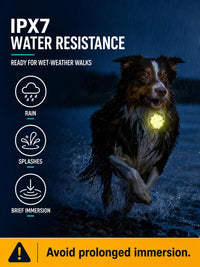 2-Pack Dog Collar Light with Memory Function, 8 Modes - 3 - image 4